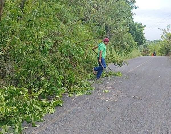 Trabajador retira vegetación caída en el tramo Buena Vista–Monte Grande, Tantima, 9 de octubre de 2026