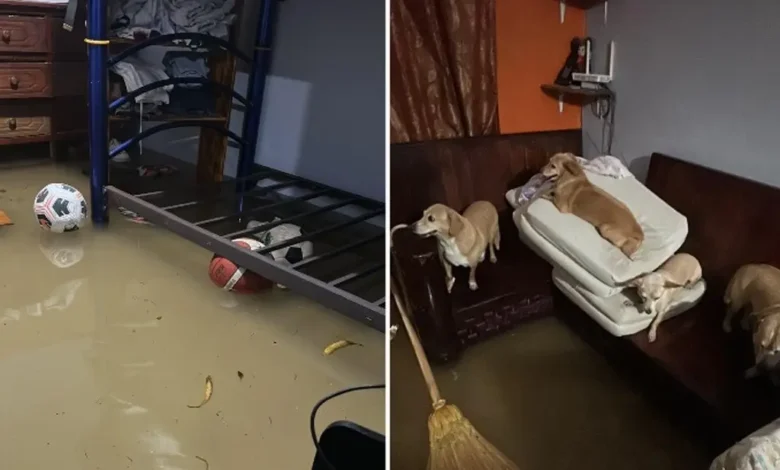 Casa inundada con el agua varios centímetros adentro en Veracruz