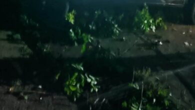 Vehiculo destrozado tras accidente en la entrada de LALA, en Tuxpan