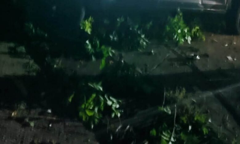 Vehiculo destrozado tras accidente en la entrada de LALA, en Tuxpan