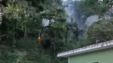 Fuego y humo entre árboles en la calle Hernández y Hernández, Tuxpan
