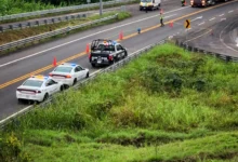 Operativo en la autopista Tuxpan-Totomoxtle tras el atropellamiento