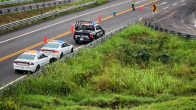 Operativo en la autopista Tuxpan-Totomoxtle tras el atropellamiento